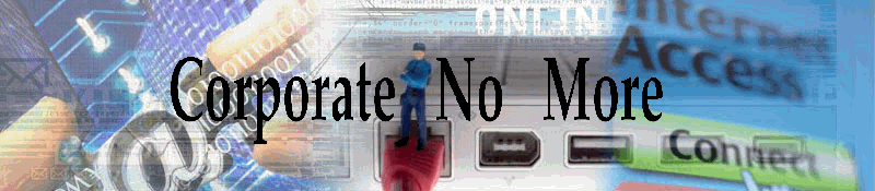 Corporate No More -- Information Technology for Experienced Professionals